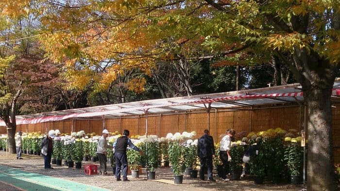 伊勢崎菊花大会 華蔵寺公園 群馬県伊勢崎市華蔵寺町1 アクセス 行き方 駐車場 トイレ