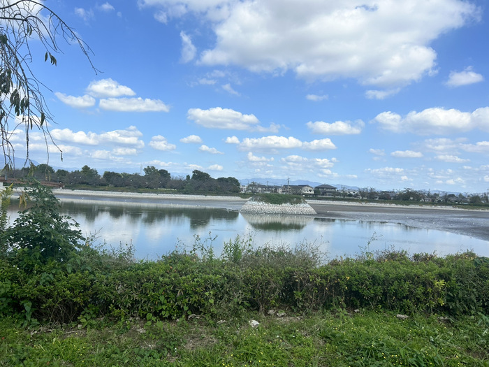 伊勢崎造園組合コミュニティーパーク 波志江沼環境ふれあい公園 口コミ 評判 レビュー 群馬県伊勢崎市波志江町3335-2 アクセス 行き方 駐車場 トイレ