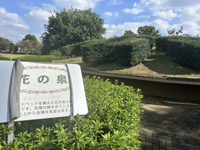 伊勢崎造園組合コミュニティーパーク 波志江沼環境ふれあい公園 口コミ 評判 レビュー 群馬県伊勢崎市波志江町3335-2 アクセス 行き方 駐車場 トイレ