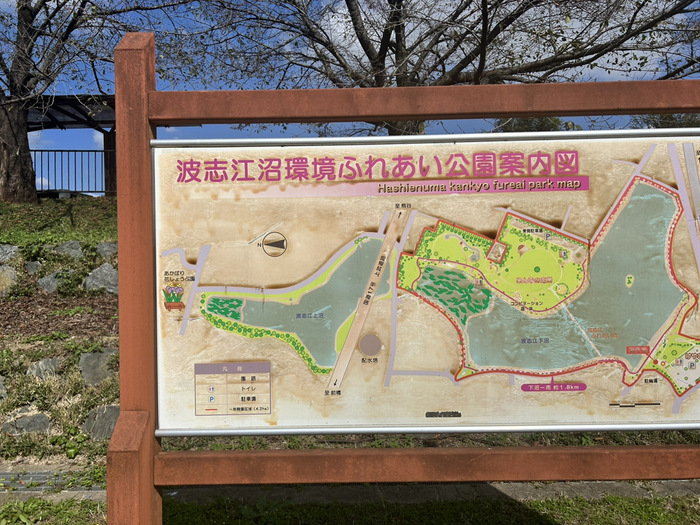 伊勢崎造園組合コミュニティーパーク 波志江沼環境ふれあい公園 口コミ 評判 レビュー 群馬県伊勢崎市波志江町3335-2 アクセス 行き方 駐車場 トイレ