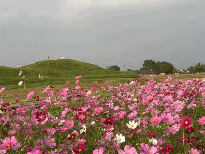 第14回かみつけの里古墳祭り 上毛野はにわの里公園 群馬県高崎市保渡田町2000-1 アクセス 行き方 駐車場 トイレ