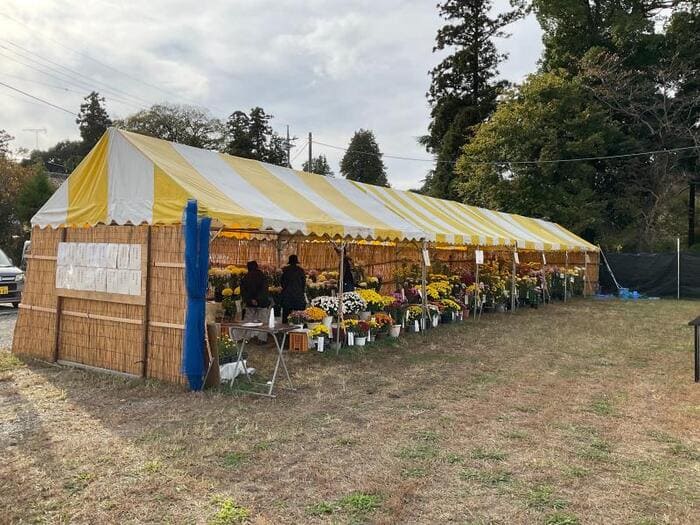 市民菊花展 茂林寺 群馬県館林市堀工町1570 アクセス 行き方 駐車場 トイレ