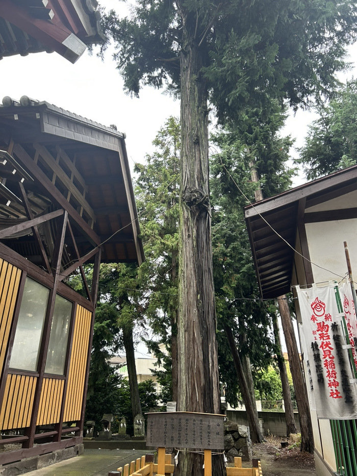 駒形神社 なんの神様 ご利益 御朱印 群馬県前橋市駒形町710 アクセス 行き方 駐車場 トイレ