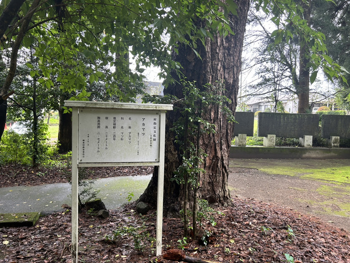 黒髪山神社 ご利益 御朱印 群馬県北群馬郡榛東村広馬場3635 アクセス 行き方 駐車場 トイレ