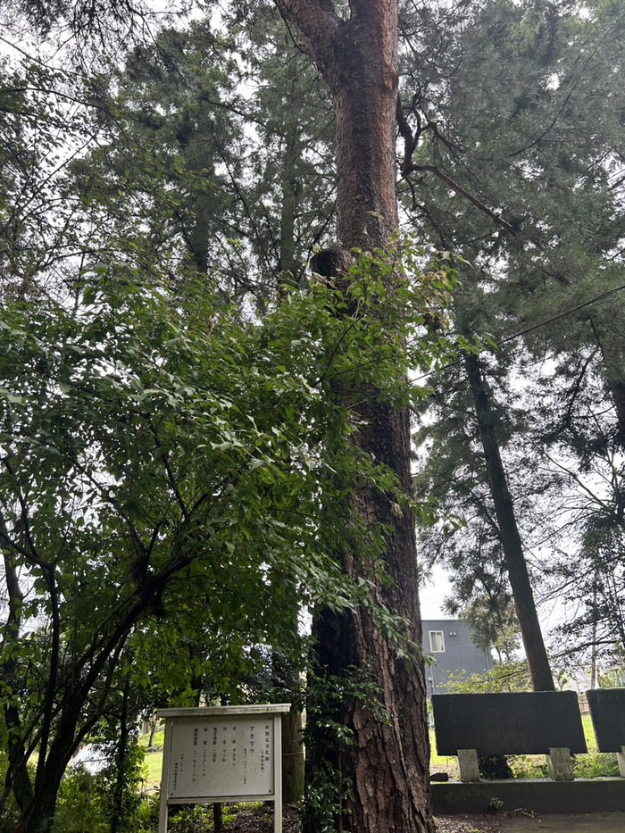 黒髪山神社 ご利益 御朱印 群馬県北群馬郡榛東村広馬場3635 アクセス 行き方 駐車場 トイレ