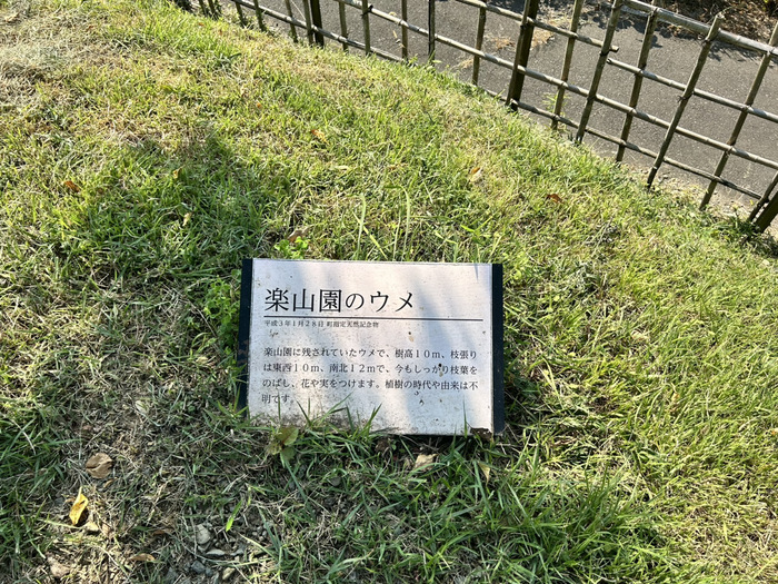 楽山園 らくさんえん 国指定名勝 群馬県甘楽郡甘楽町大字小幡648-2 入場料 大名庭園 ランチ アクセス 行き方 駐車場 トイレ 電車