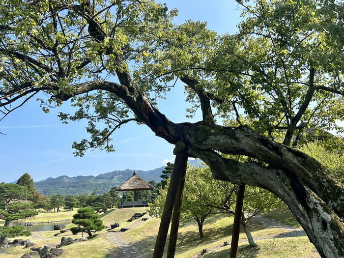 楽山園 らくさんえん 国指定名勝 群馬県甘楽郡甘楽町大字小幡648-2 入場料 大名庭園 ランチ アクセス 行き方 駐車場 トイレ 電車