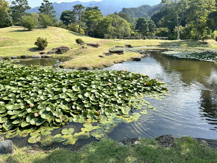 楽山園 らくさんえん 国指定名勝 群馬県甘楽郡甘楽町大字小幡648-2 入場料 大名庭園 ランチ アクセス 行き方 駐車場 トイレ 電車