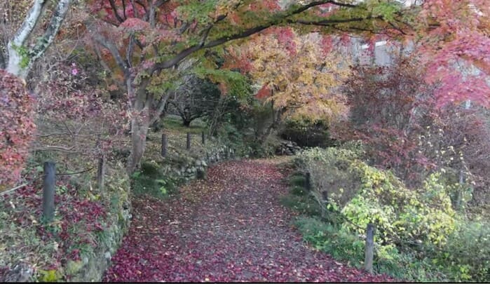 少林山達磨寺の紅葉 少林山達磨寺 群馬県高崎市鼻高町296 アクセス 行き方 駐車場 トイレ