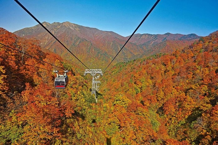 谷川岳紅葉 谷川岳ロープウェイ 群馬県利根郡みなかみ町湯桧曽 アクセス 行き方 駐車場 トイレ