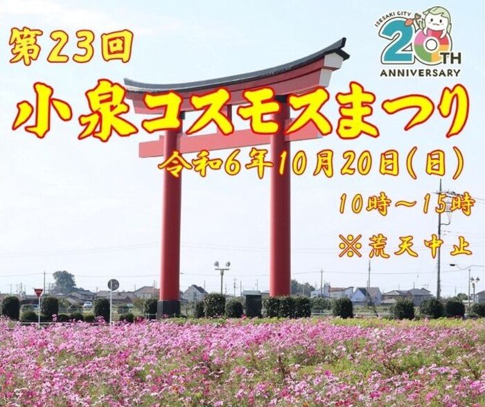 第23回小泉コスモスまつり 小泉コスモス畑 群馬県伊勢崎市小泉町 アクセス 行き方 駐車場 トイレ