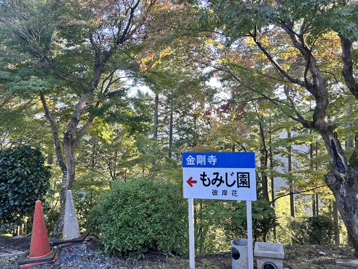 金剛寺 堅固山常福院 なんの神様 ご利益 御朱印 群馬県藤岡市三波川334 アクセス 行き方 駐車場 トイレ