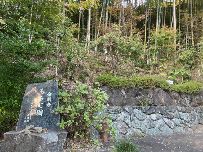 金剛寺 堅固山常福院 なんの神様 ご利益 御朱印 群馬県藤岡市三波川334 アクセス 行き方 駐車場 トイレ