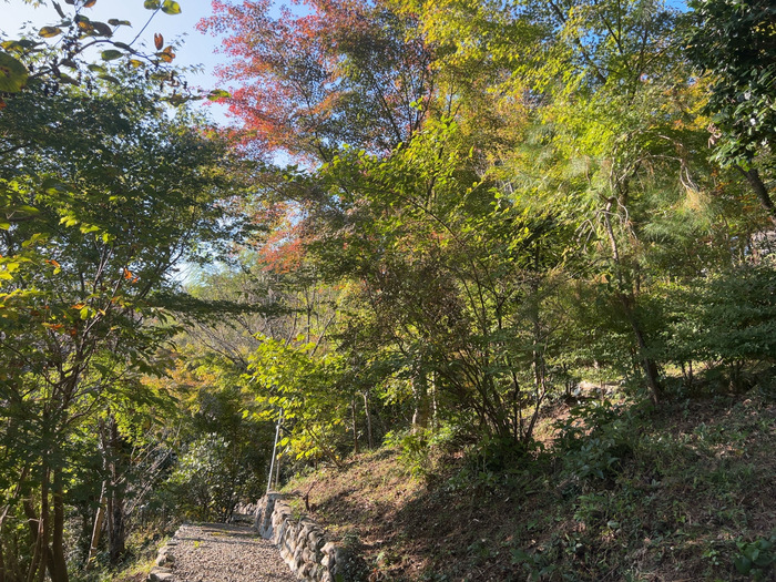 金剛寺 堅固山常福院 なんの神様 ご利益 御朱印 群馬県藤岡市三波川334 アクセス 行き方 駐車場 トイレ