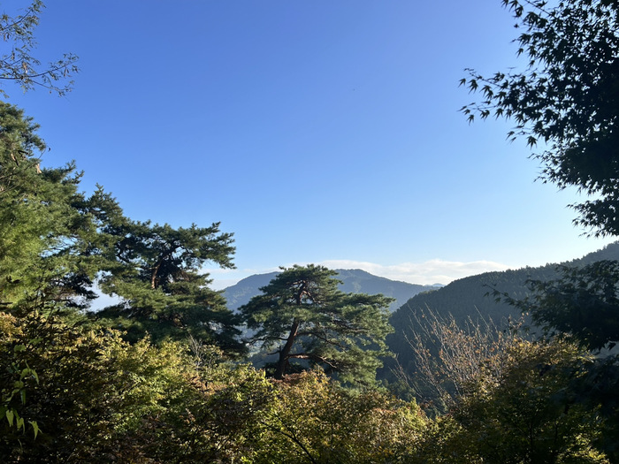 金剛寺 堅固山常福院 なんの神様 ご利益 御朱印 群馬県藤岡市三波川334 アクセス 行き方 駐車場 トイレ