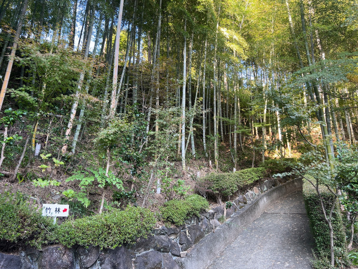 金剛寺 堅固山常福院 なんの神様 ご利益 御朱印 群馬県藤岡市三波川334 アクセス 行き方 駐車場 トイレ