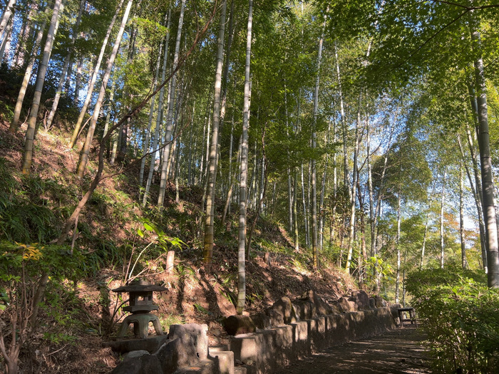 金剛寺 堅固山常福院 なんの神様 ご利益 御朱印 群馬県藤岡市三波川334 アクセス 行き方 駐車場 トイレ