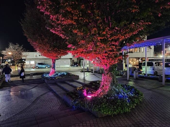 たてばやし光のページェント 館林駅前 群馬県館林市本町2-3 アクセス 行き方 駐車場 トイレ